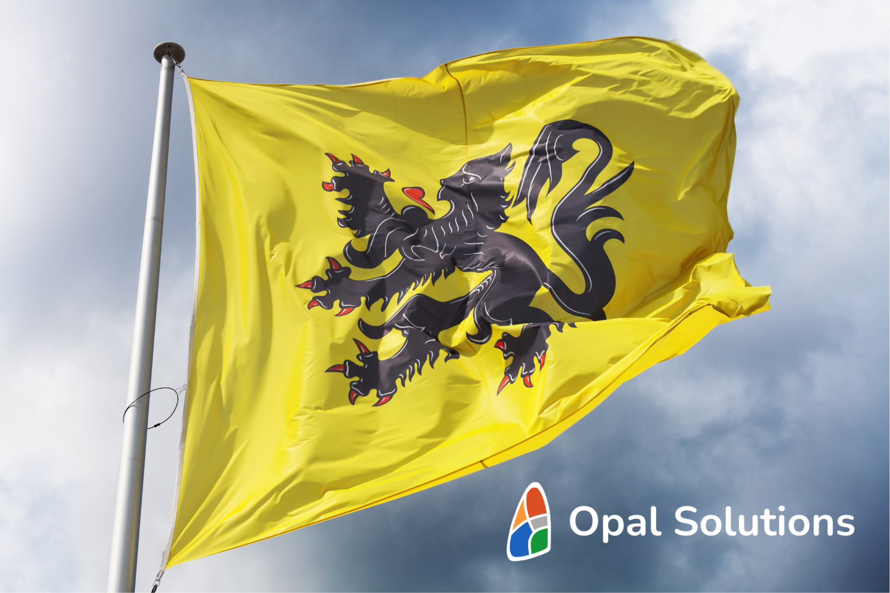 Opal Solutions accélère son expansion en Flandre avec des experts locaux